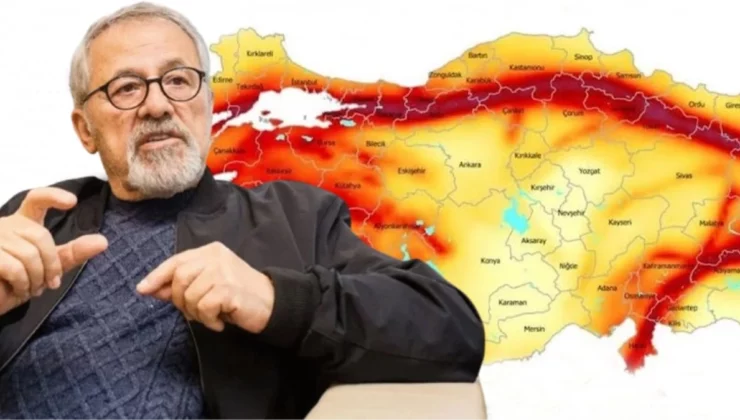 Prof. Dr. Görür: “Gemlik taşınmalı”