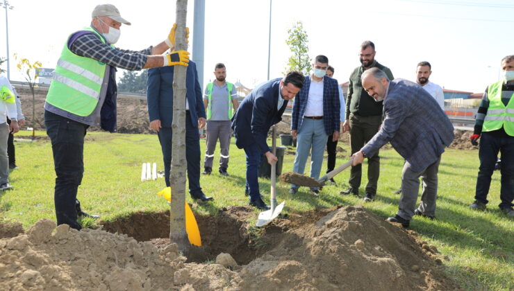 Başkan Aktaş’tan 3.500.000 metrekare yeni yeşil alan sözü