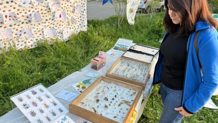 Böcek Bilimi Yeniceabat’ta merak uyandırdı