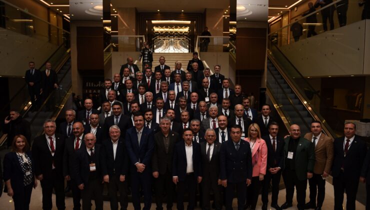 Patili Canlar Projesi Gemlik’e ödül getirdi