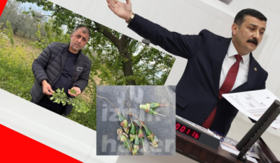 Türkoğlu, üreticiyi perişan eden don afetini TBMM gündemine taşıdı