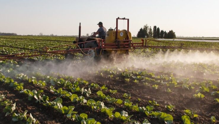 Bursalı çiftçilere müjde: Destek ödemeleri bugün başlıyor