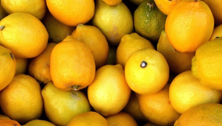 İTO İstanbul fiyat endeksi: Limon zirvede, patlıcan dipte