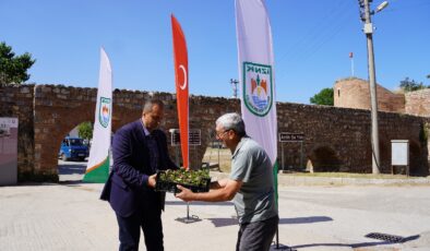 İznik mezarlıkları bayram öncesi çiçeklerle şenlendi