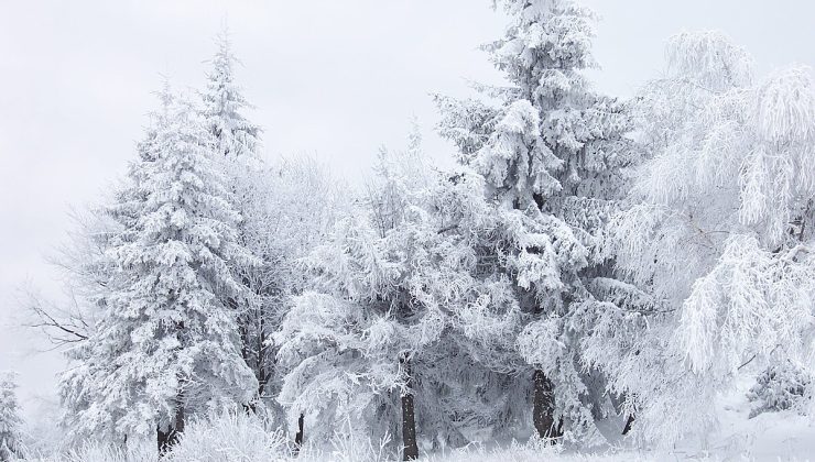 Meteoroloji uyardı: Bursa’da kar ve don tehlikesi kapıda