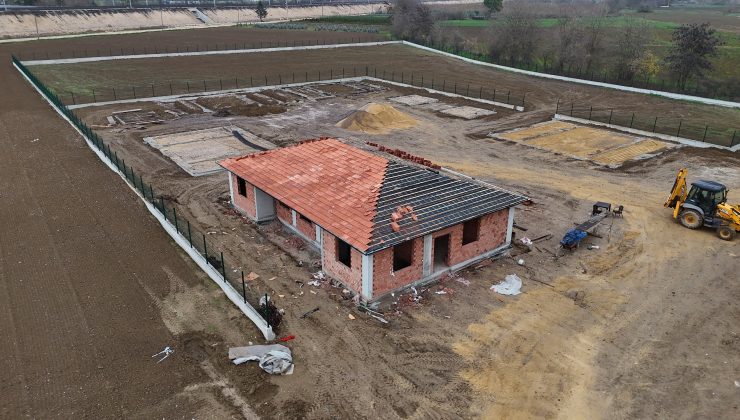Yenişehir’de sokak hayvanlarına modern tesis