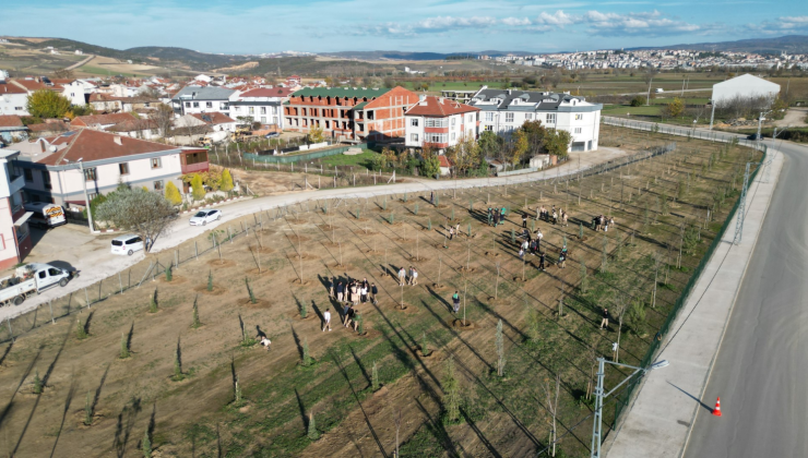 İnegöl Belediyesi’nden mahalle aralarına yeşil dokunuş