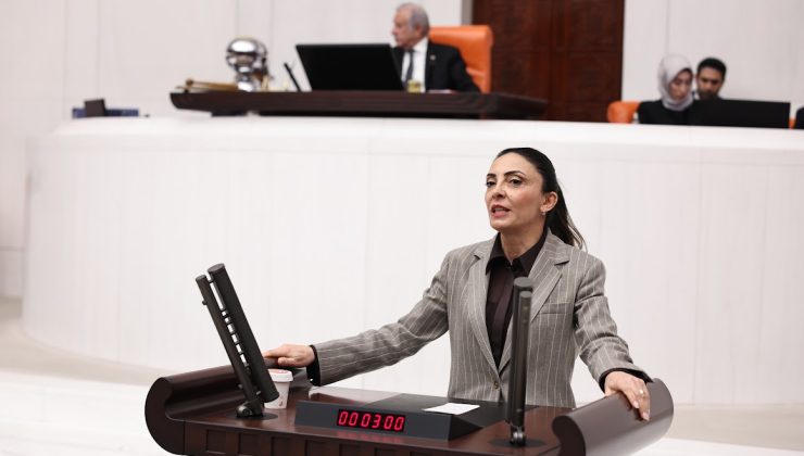Nurhayat Altaca Kayışoğlu’ndan kültür kurumlarına ilişkin değerlendirme