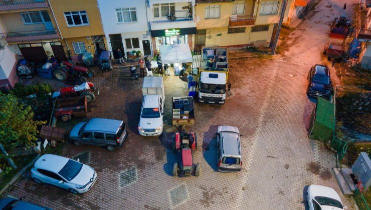 Gemlik’te ÇKS’li çiftçiye 60 TL’den zeytin desteği