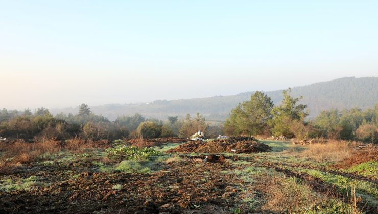 Mudanya Belediyesi’nden iklim krizine somut adım