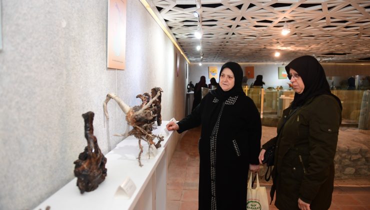 Osmangazi Belediyesi’nden kadınlara tarih ve kültürle dolu bir gün