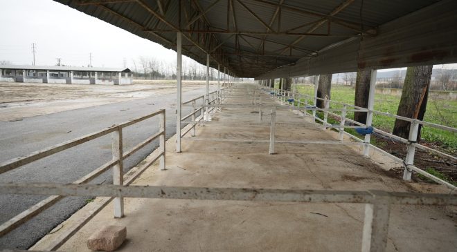 Yenişehir Hayvan Pazarı hizmete girdi