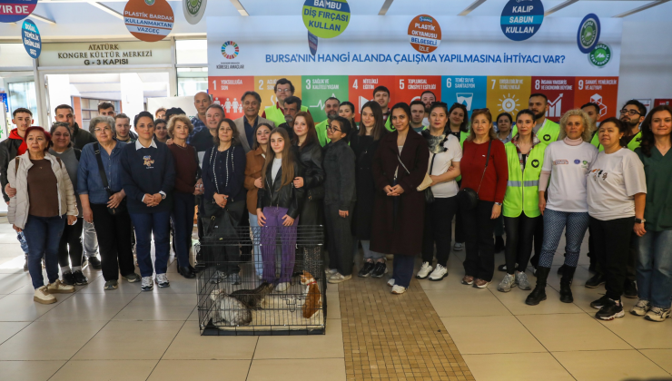 Bursa’da kedi evi mesaisi
