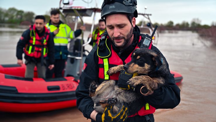 Karacabey’de su baskını: “Cesur” ve “Zeytin” kurtarıldı