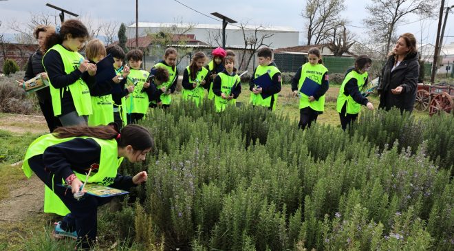 Tohumdan geleceğe: Nilüferli çocuklar ekolojik üretimi yerinde öğreniyor