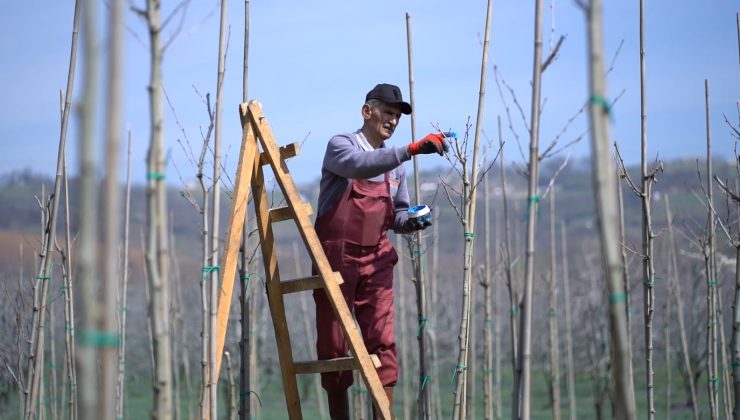Kestel bahara hazırlanıyor: Peyzaj ve bakım seferberliği