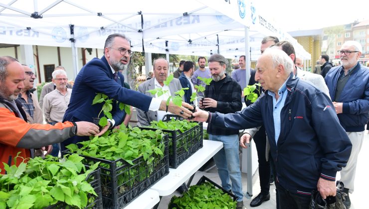 Bursa Kestel’de ahududu üretimi için önemli adım