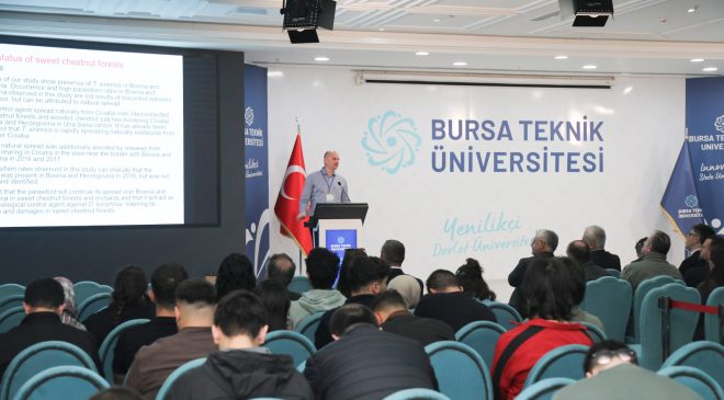 Kestane ormanları için uluslararası iş birliği