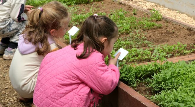 Osmangazi’de çocuklara tarım deneyimi
