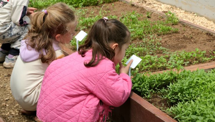 Osmangazi’de çocuklara tarım deneyimi