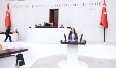 Altaca Kayışoğlu, yurt dışındaki yurttaşların sorunlarını Meclis’e taşıdı