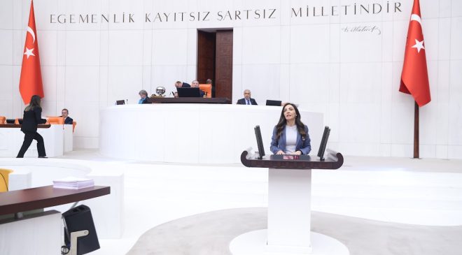 Altaca Kayışoğlu, yurt dışındaki yurttaşların sorunlarını Meclis’e taşıdı