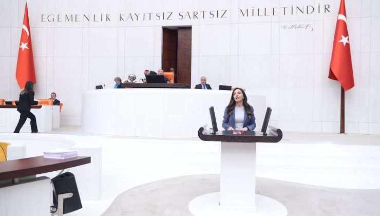 Altaca Kayışoğlu, yurt dışındaki yurttaşların sorunlarını Meclis’e taşıdı