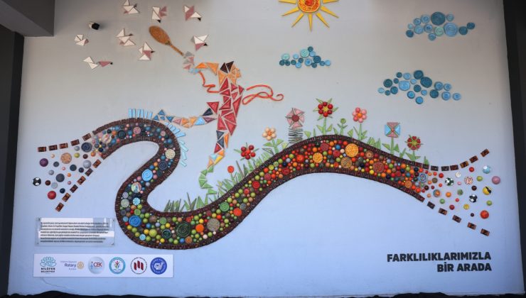 Bir fikir, yüzlerce gönüllü: Dayanışmanın duvarı yükseldi