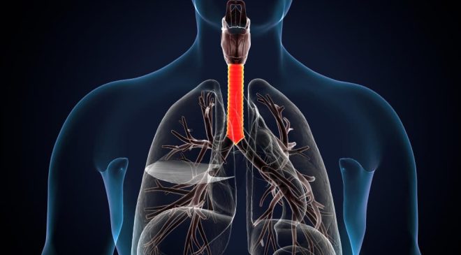 Uzmanından uyarı: Solunum şikâyetlerini hafife almayın