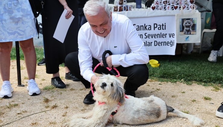 Nilüfer’de can dostlar sıcak yuvalarına kavuştu