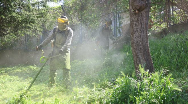 Osmangazi Belediyesi’nden çevreye yönelik çalışma