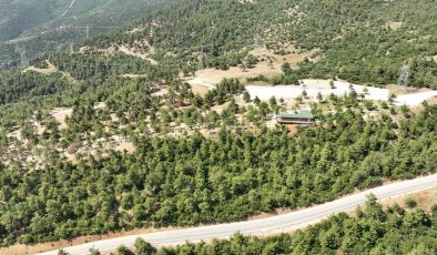 Gürsu’nun nefes alanı yeniden hayat buluyor