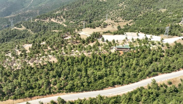 Gürsu’nun nefes alanı yeniden hayat buluyor