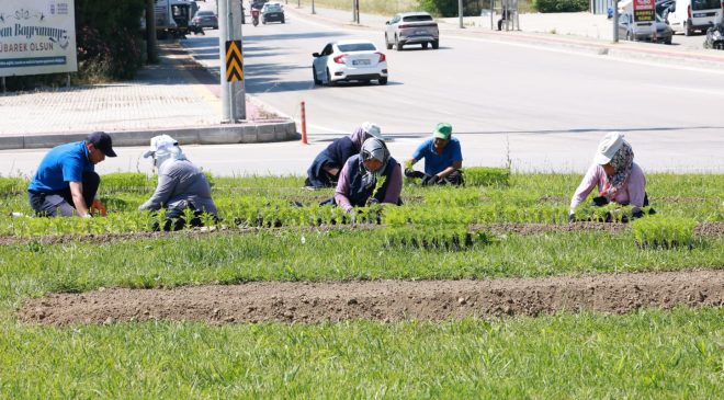 Osmangazi açık hava çiçek bahçesine dönüştü