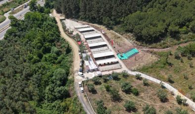 Gemlik’te can dostlara güvenli yuva