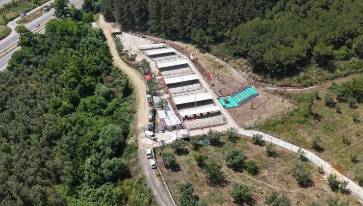 Gemlik’te can dostlara güvenli yuva