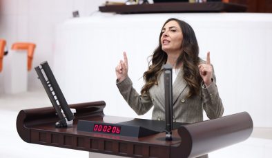 CHP’li Altaca Kayışoğlu’ndan hükümet sistemine sert eleştiri