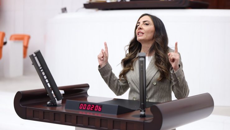 CHP’li Altaca Kayışoğlu’ndan hükümet sistemine sert eleştiri
