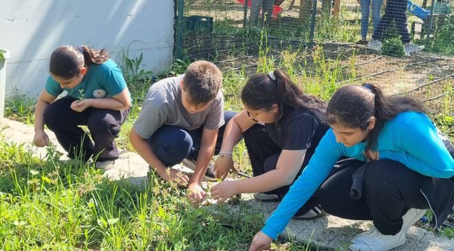 Nilüfer’in yerli tohumları öğrencilere emanet