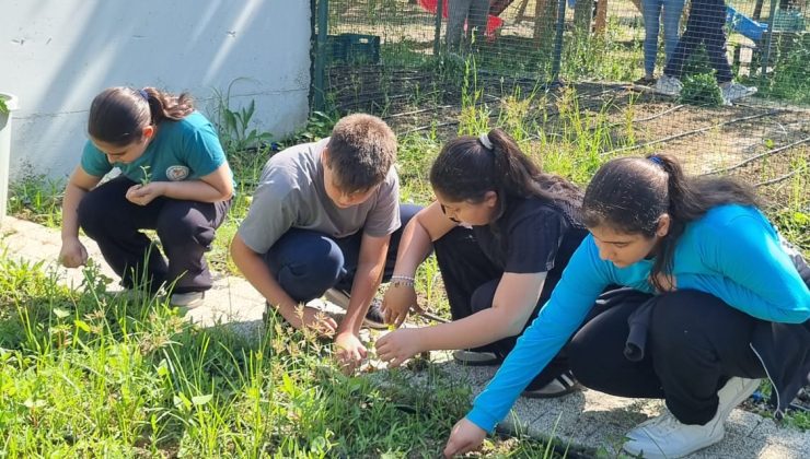 Nilüfer’in yerli tohumları öğrencilere emanet
