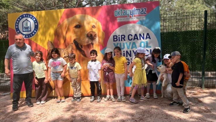 Sahipsiz hayvanlar için farkındalık ziyareti