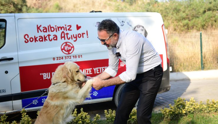 Kestel’de sahiplendirme süreci dijital platforma taşındı