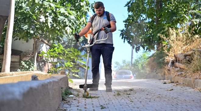 Tarihi Gölyazı yenileniyor