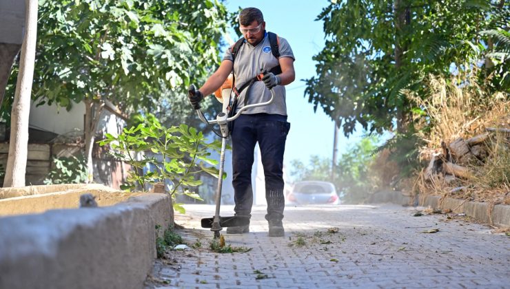 Tarihi Gölyazı yenileniyor