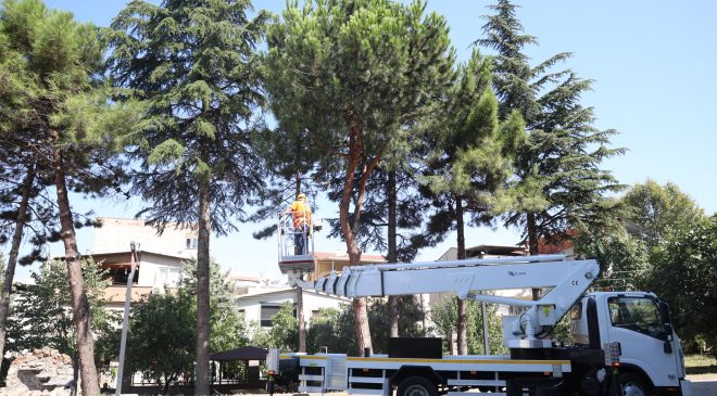 Osmangazi yeşil alan bakımında kapasitesini artırdı