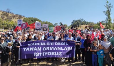 Fındık posası ekonomiye kazandırılacak