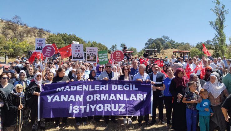 Fındık posası ekonomiye kazandırılacak
