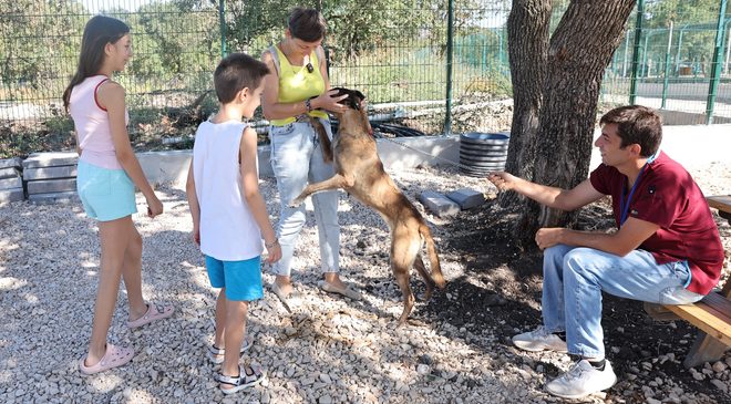Nilüfer’de can dostlar yuva buluyor