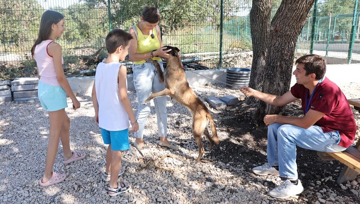 Nilüfer’de can dostlar yuva buluyor