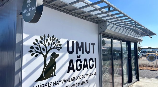 Her kurdele bir yuva: Umut Ağacı can dostlara açıldı